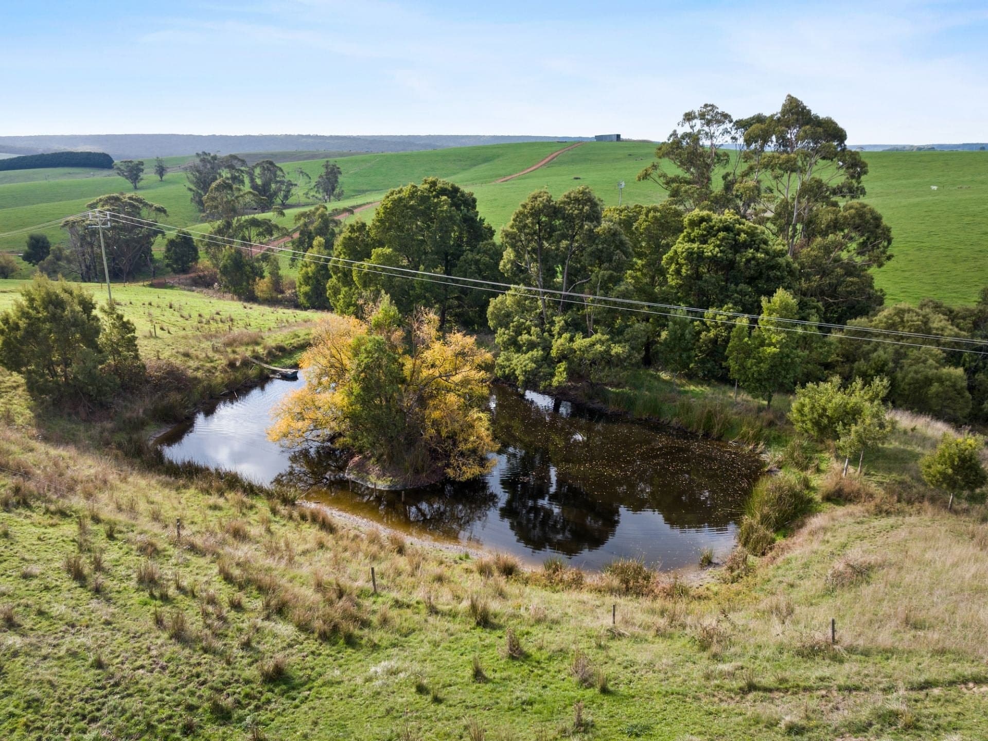 3049 Lavers Hill-Cobden Road Simpson VIC, Simpson - Thumbnail 4