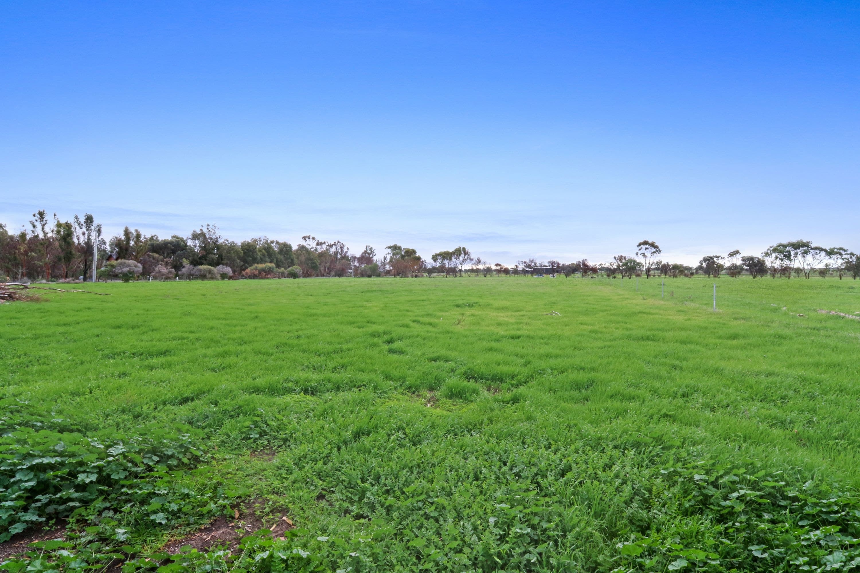 702 Lanes Avenue, Quantong, VIC 3401, Quantong - Thumbnail 3