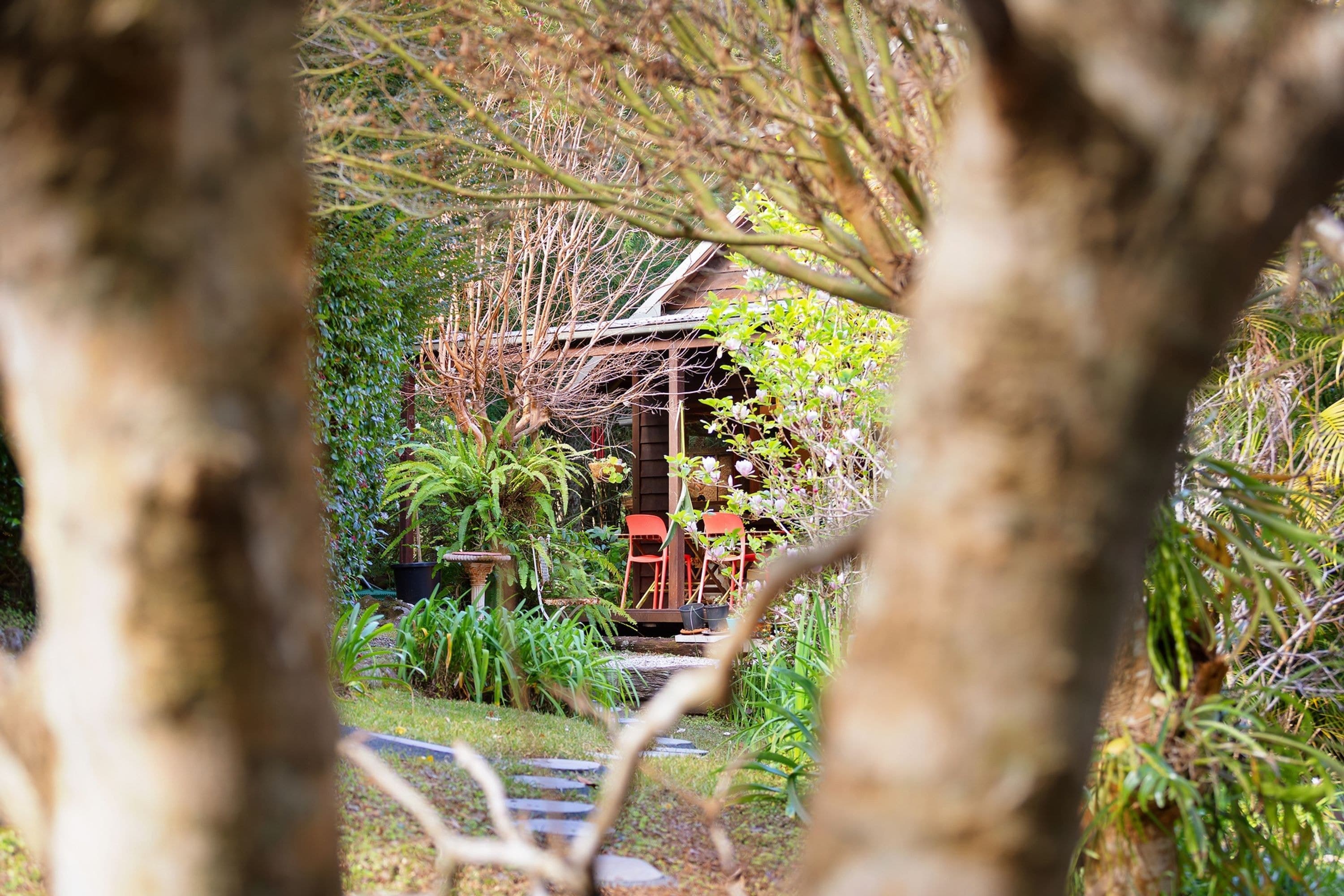Upper Wilsons Creek, Upper Wilsons Creek - Thumbnail 2