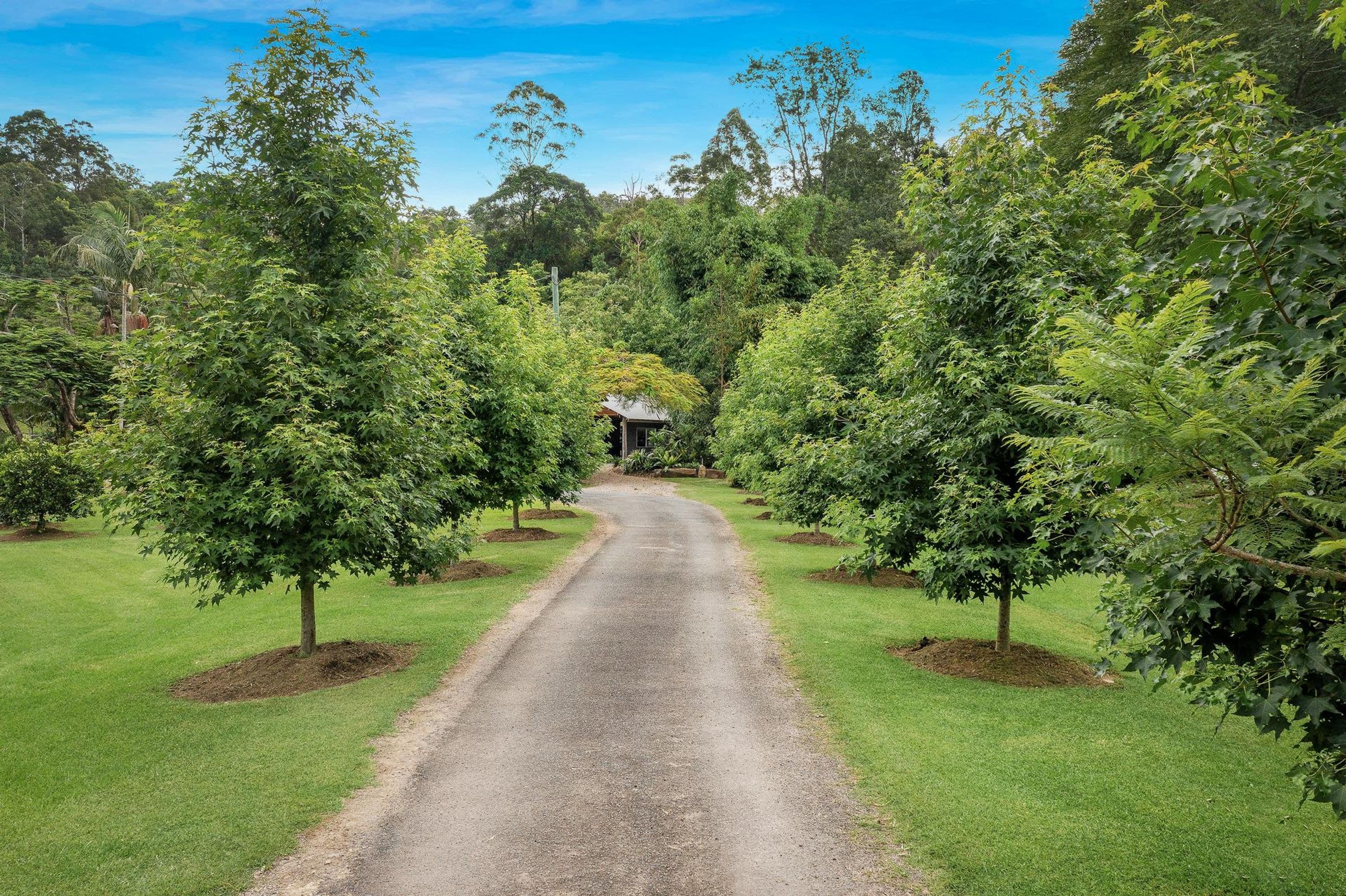1141 Main Arm Road, Upper Main Arm - Thumbnail 4