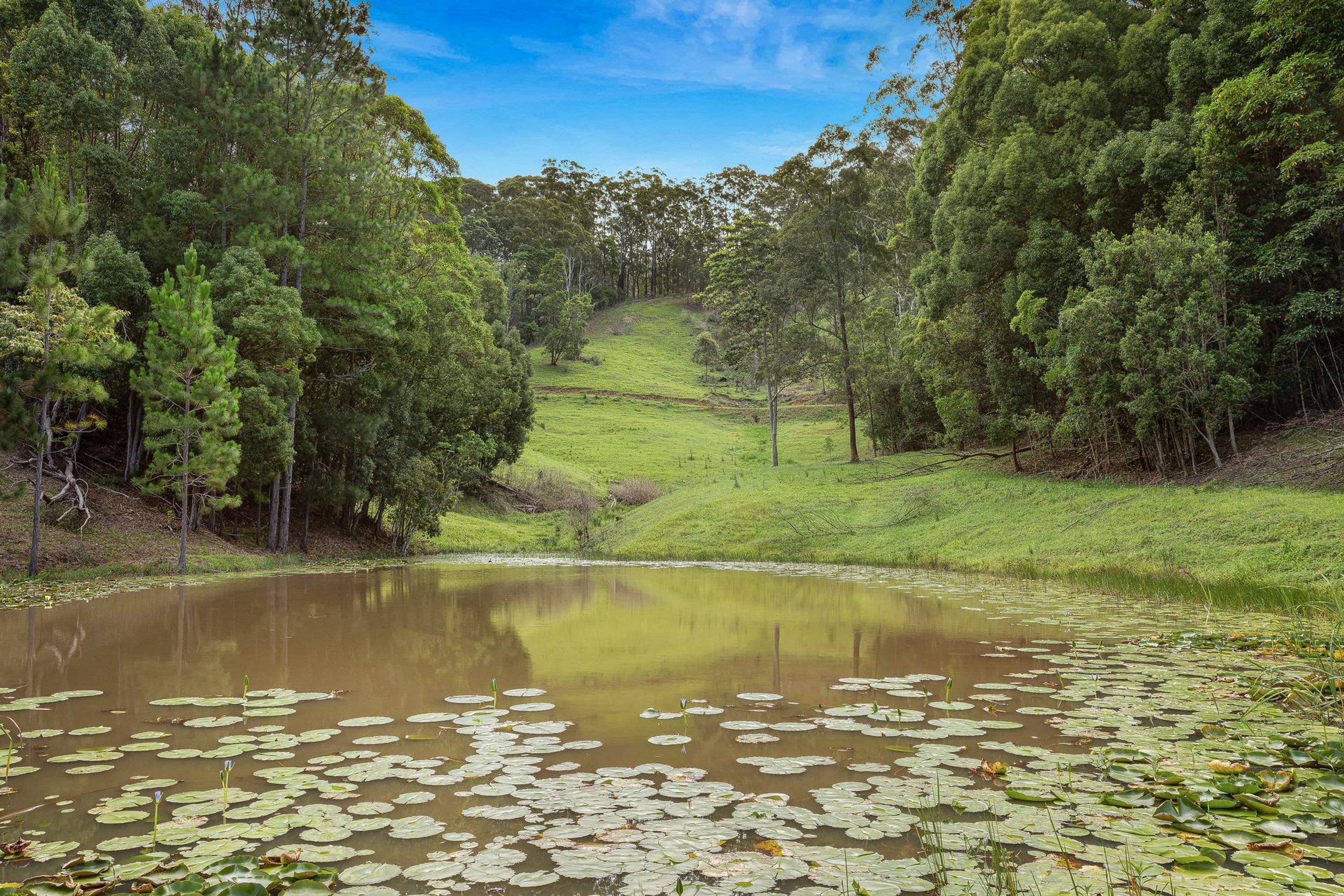 1141 Main Arm Road, Upper Main Arm - Thumbnail 8