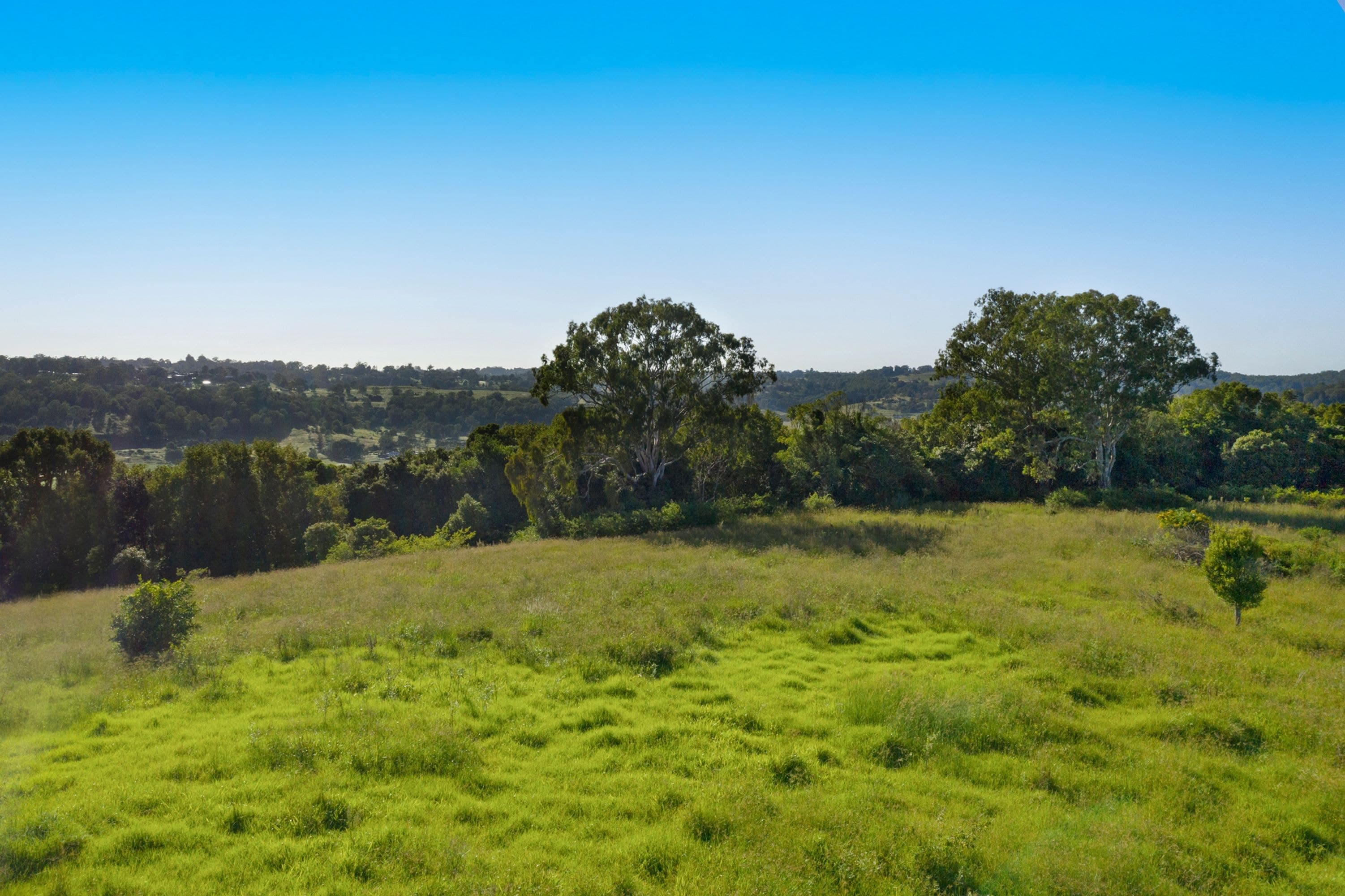 245 Wyrallah Road, Monaltrie - Thumbnail 6