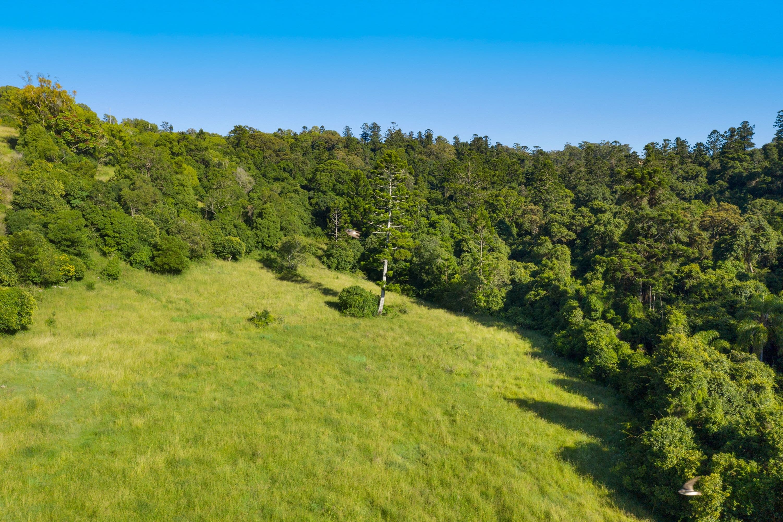 245 Wyrallah Road, Monaltrie - Thumbnail 8