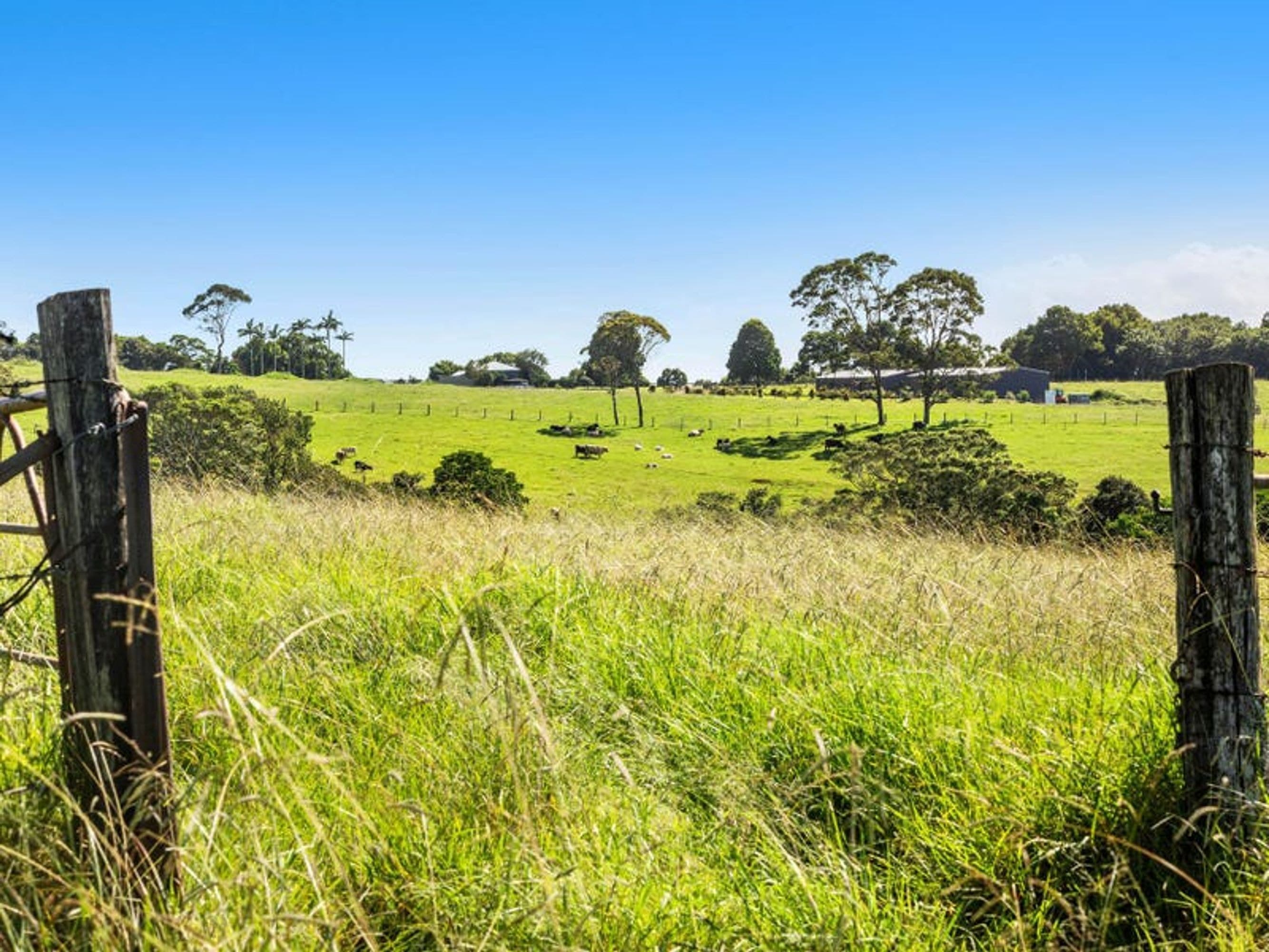 255 Coolamon Scenic Drive, Coorabell - Thumbnail 7