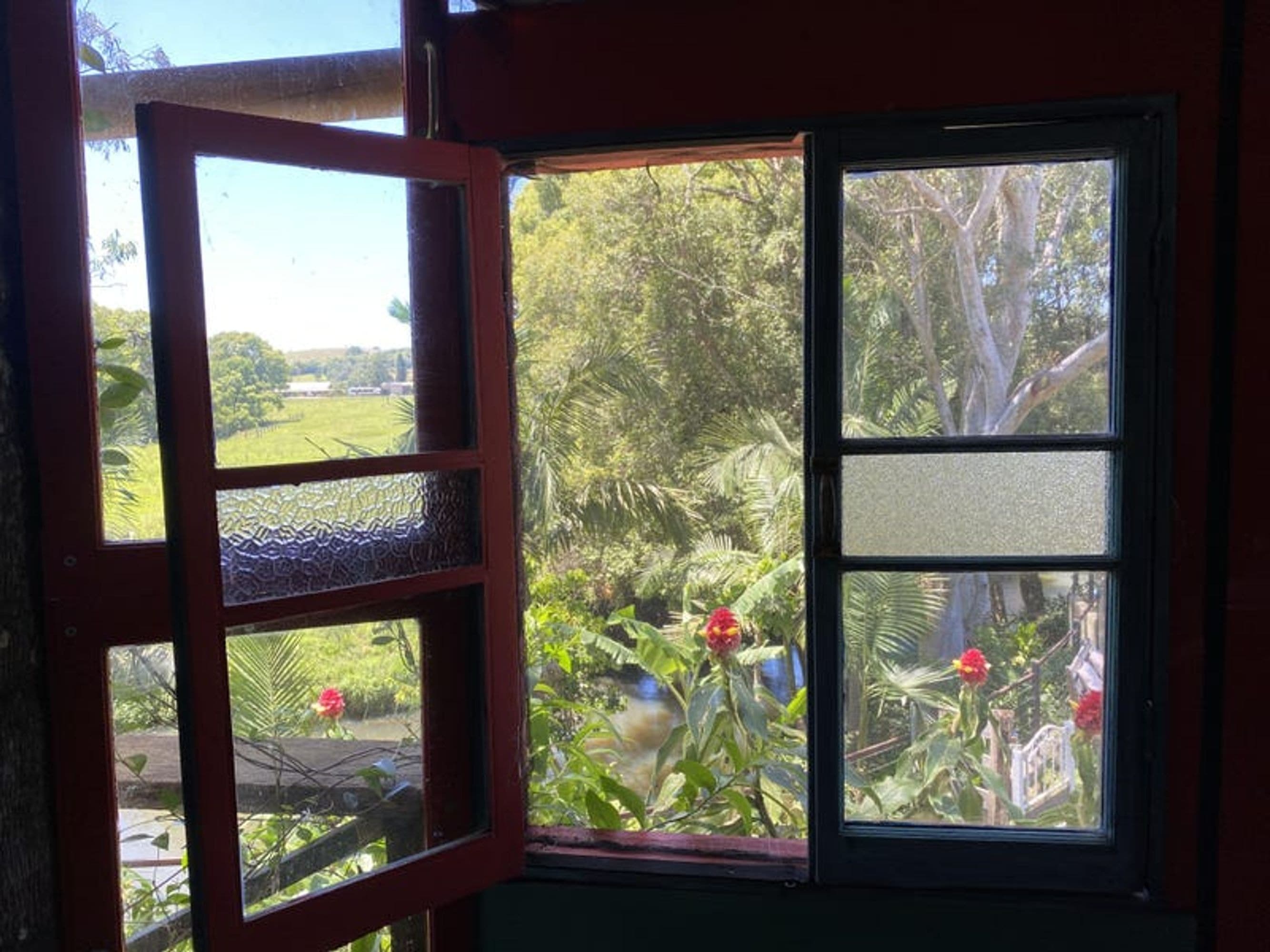 99 Lismore Road, Bangalow, NSW 2479, Bangalow - Thumbnail 4