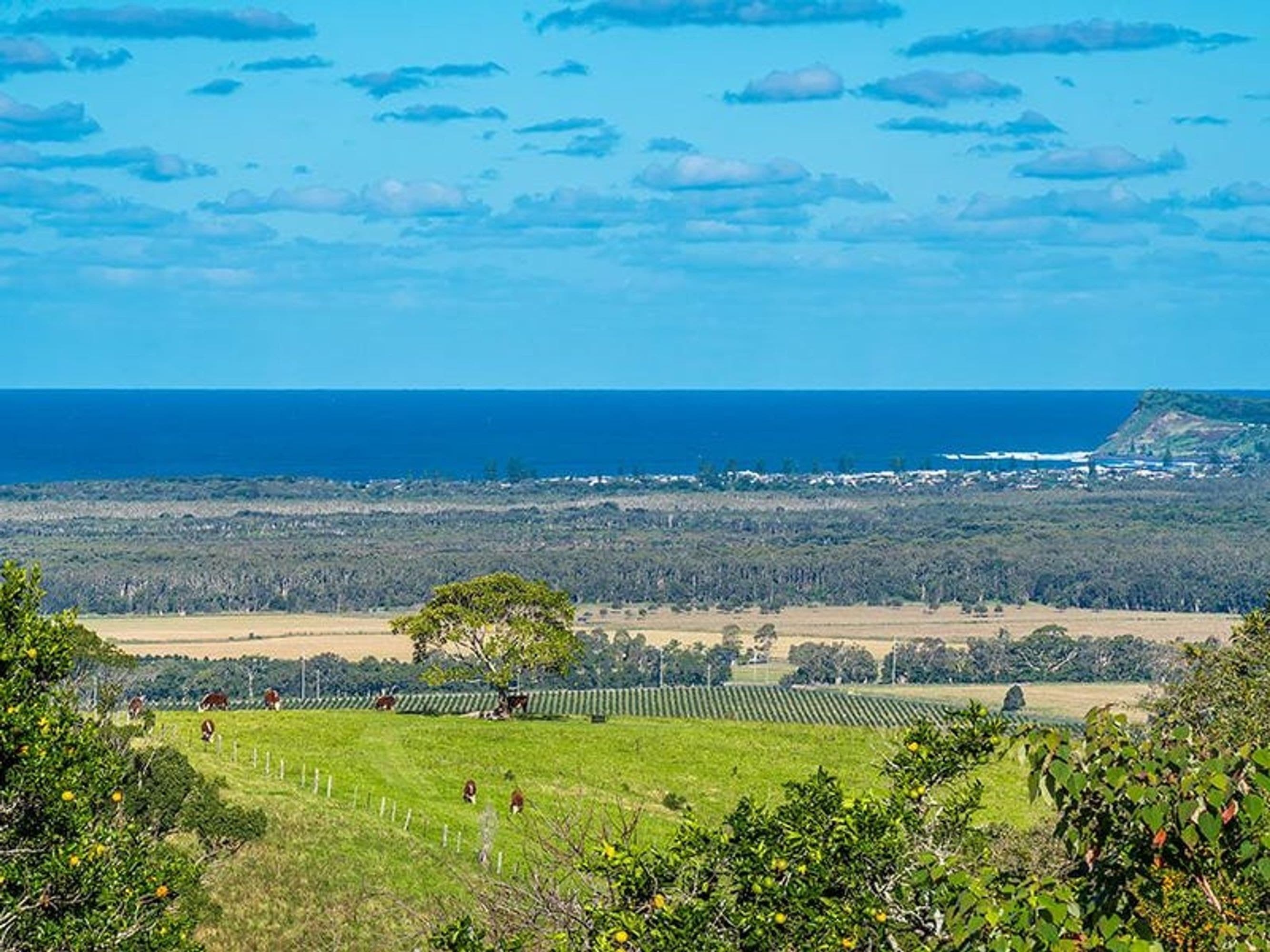 96 Old Byron Bay Road, Newrybar - Thumbnail 8