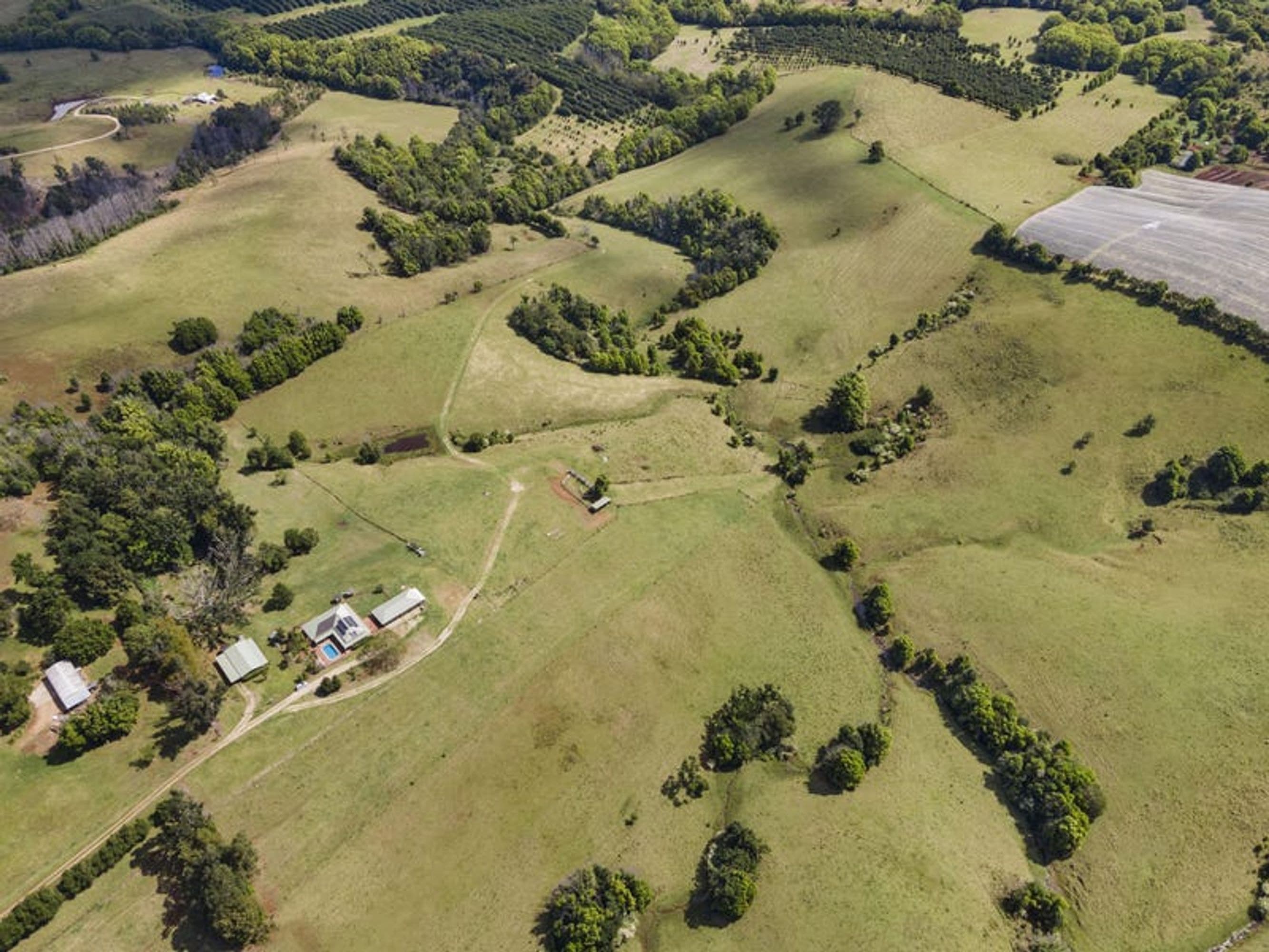 709 Fernleigh Road, Brooklet, NSW 2479, Brooklet - Thumbnail 5