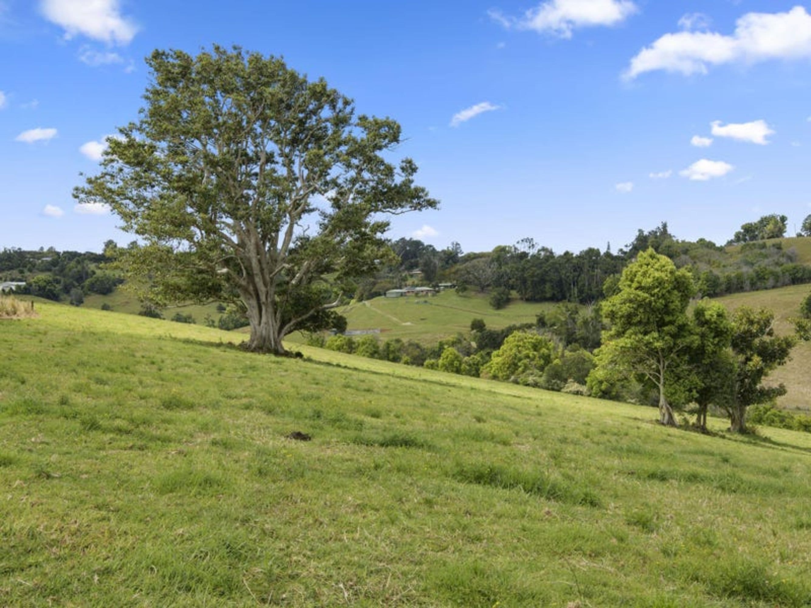 709 Fernleigh Road, Brooklet, NSW 2479, Brooklet - Thumbnail 8