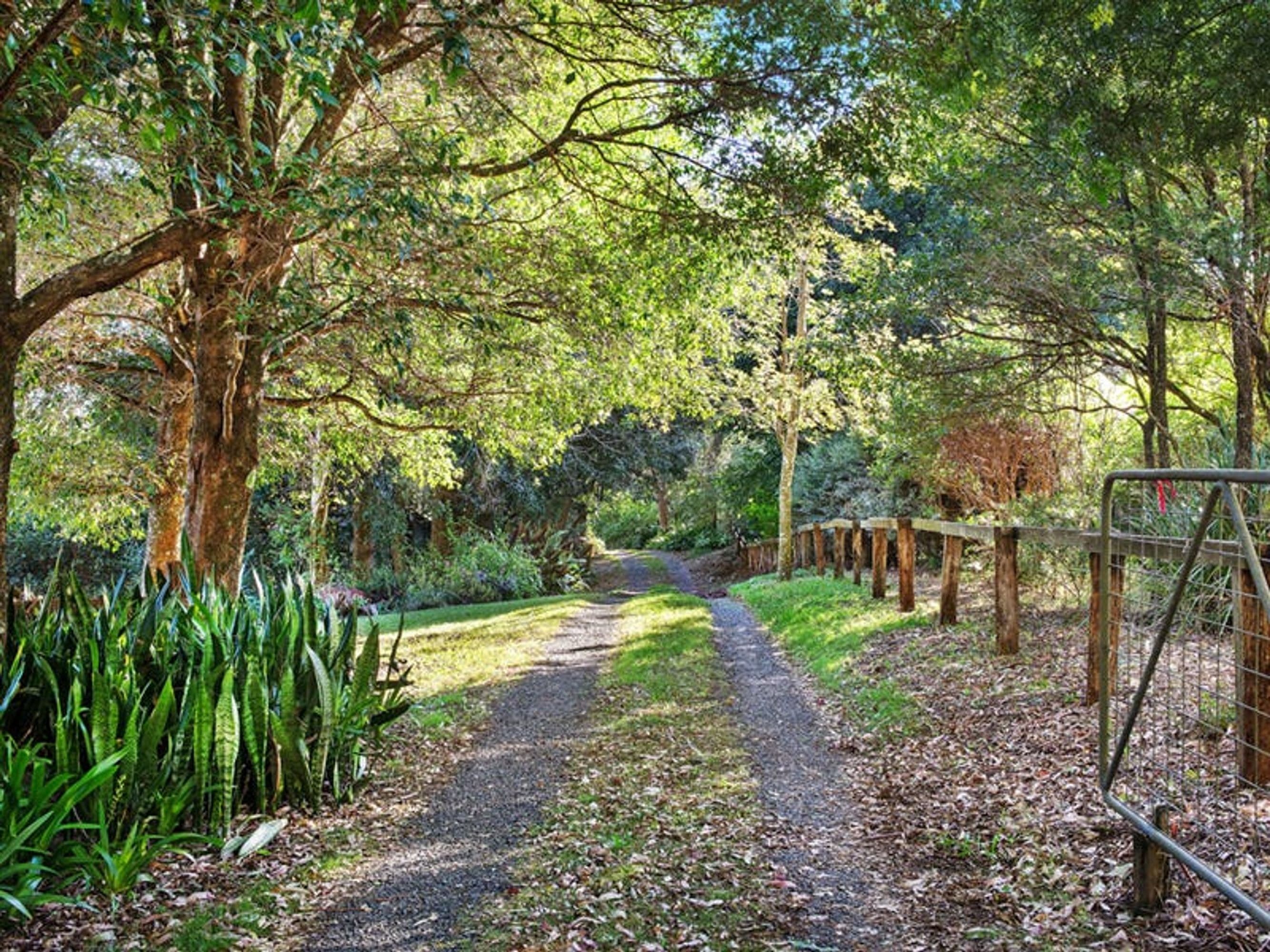 91 Byrnes Lane, Tuckombil - Thumbnail 3