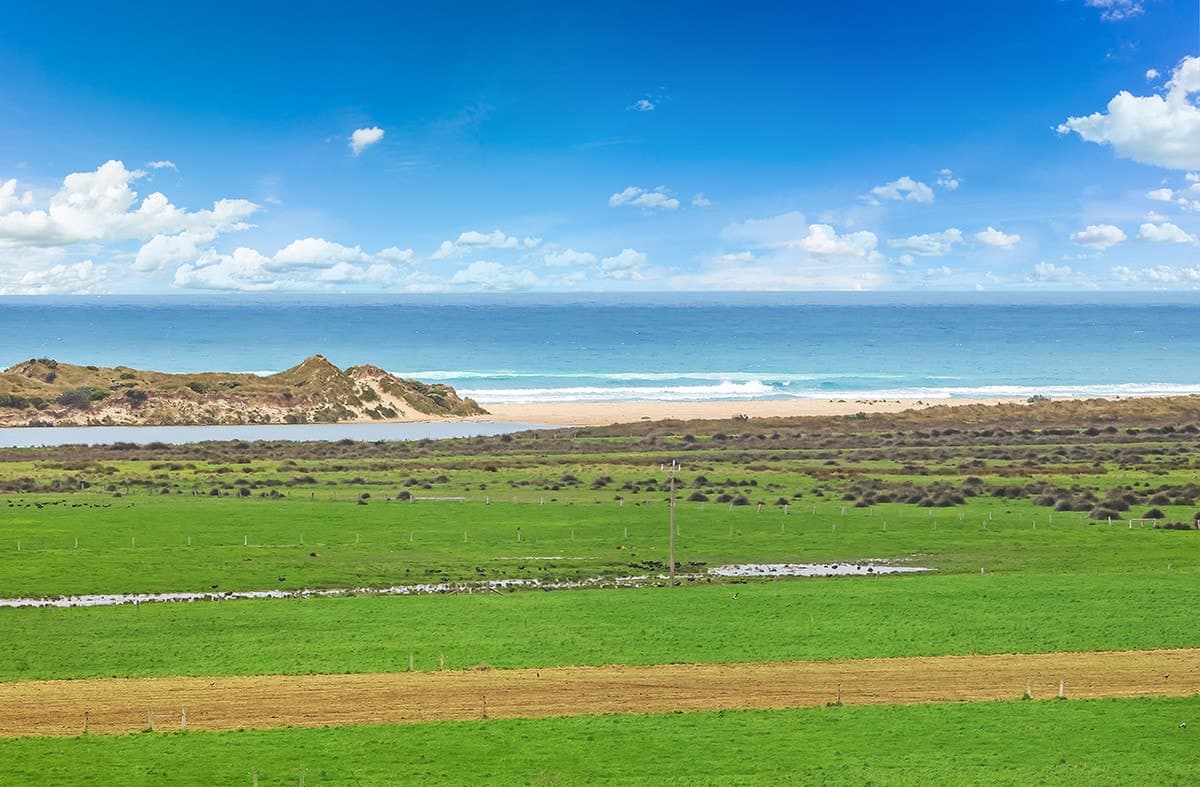 81 Sheens Road, Illowa, VIC, Illowa - Thumbnail 3