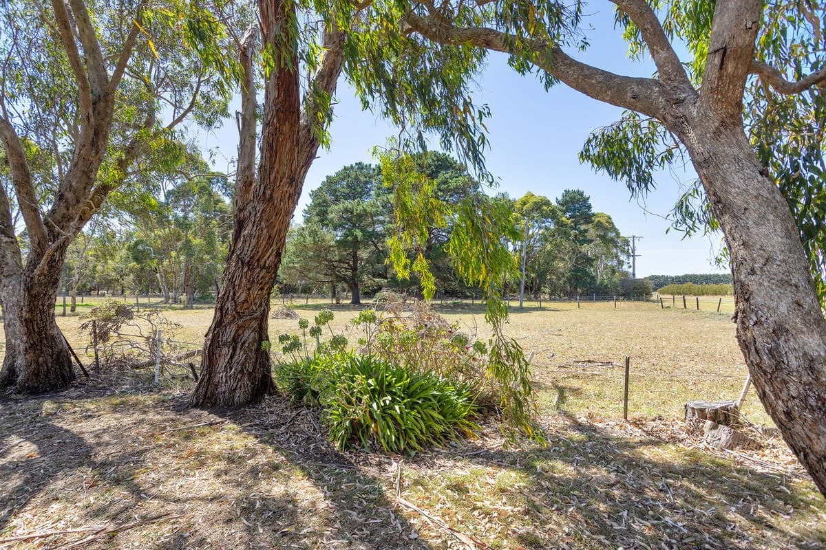 33 Beaver Street, Winslow, VIC, Winslow - Thumbnail 5
