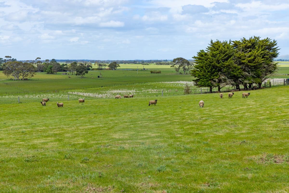 15 Pound Lane, Mortlake, VIC, Mortlake - Thumbnail 7