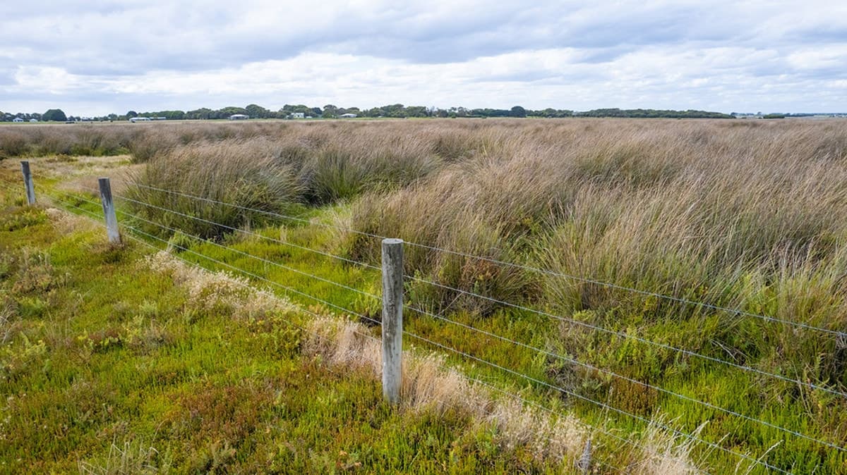 Griffiths Street, Port Fairy, VIC, Port Fairy - Thumbnail 8