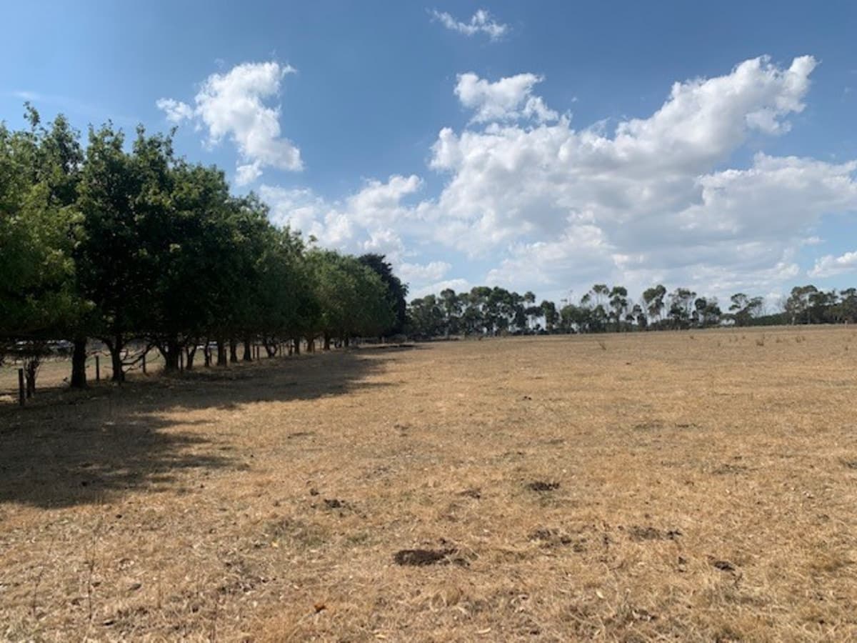 Lot 24 Smiths Road, Garvoc, VIC, Garvoc - Thumbnail 4