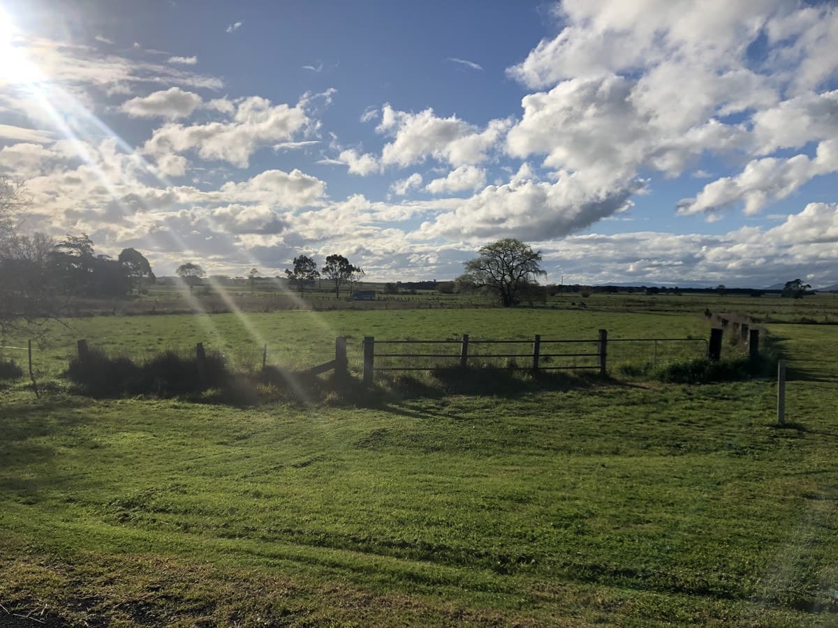 76-80 Chesswas Street, Penshurst, VIC, Penshurst - Thumbnail 2