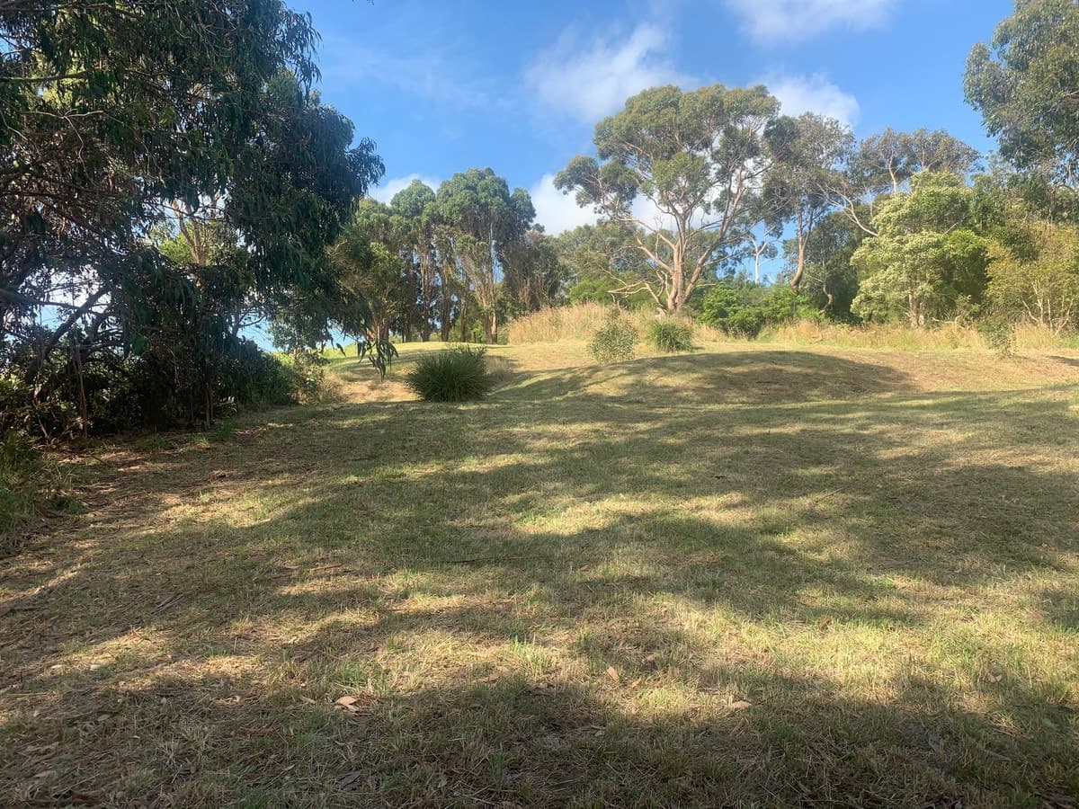 Lot 7 Curdievale Timboon Road, Curdievale, VIC, Curdievale - Thumbnail 4