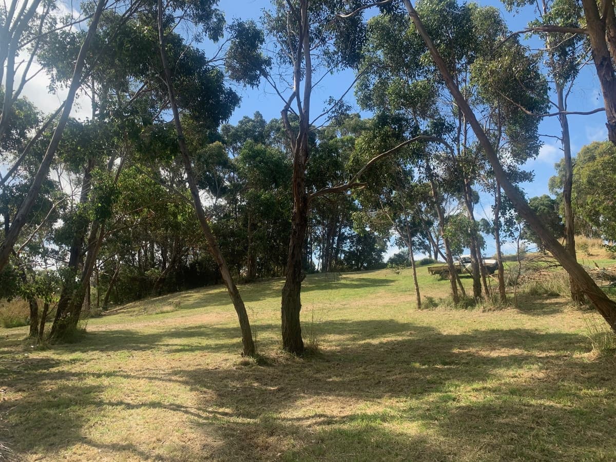 Lot 7 Curdievale Timboon Road, Curdievale, VIC, Curdievale - Thumbnail 5