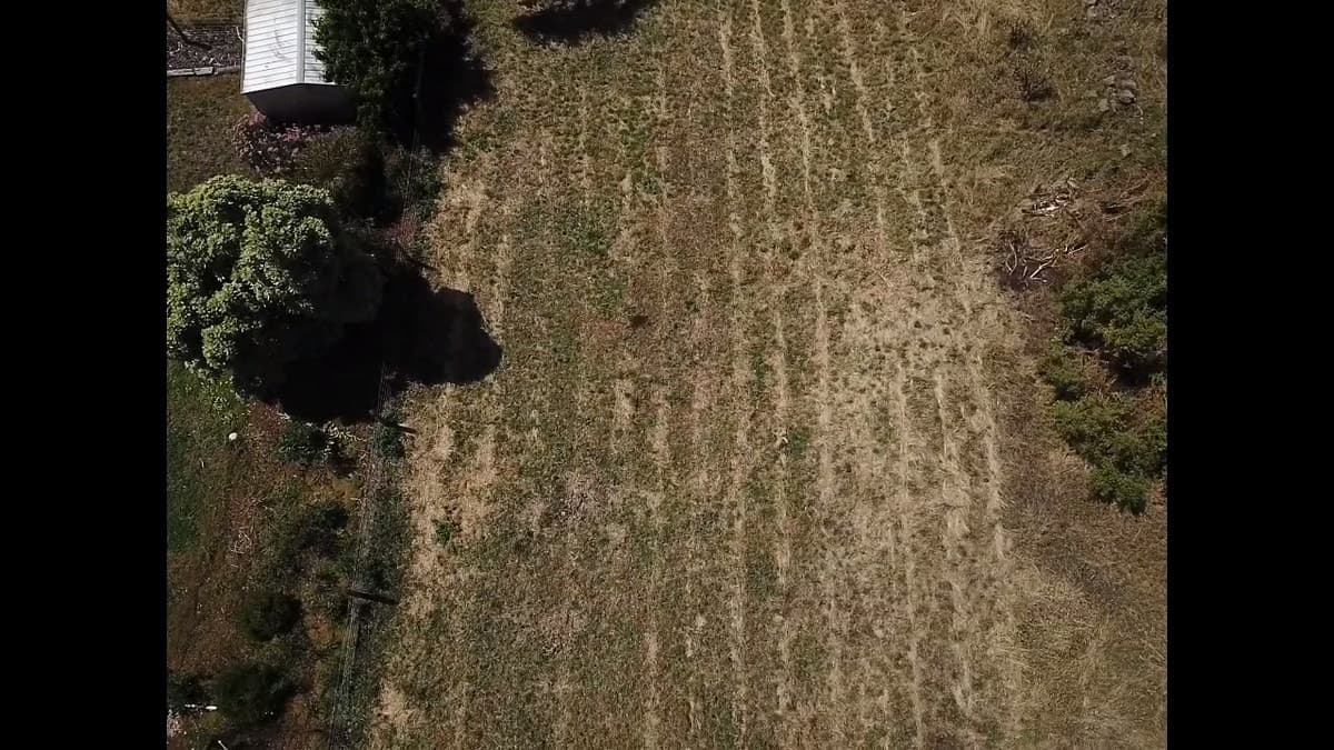 32 Ti-tree Lane, Penshurst, VIC, Penshurst - Thumbnail 2