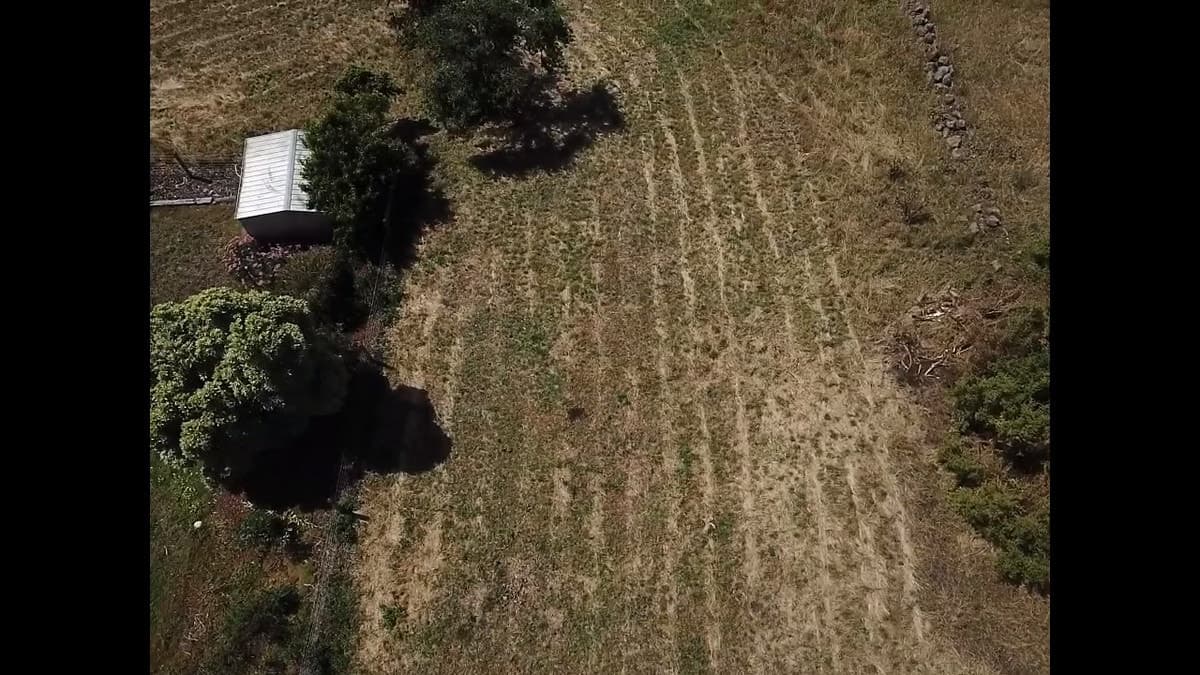 32 Ti-tree Lane, Penshurst, VIC, Penshurst - Thumbnail 3
