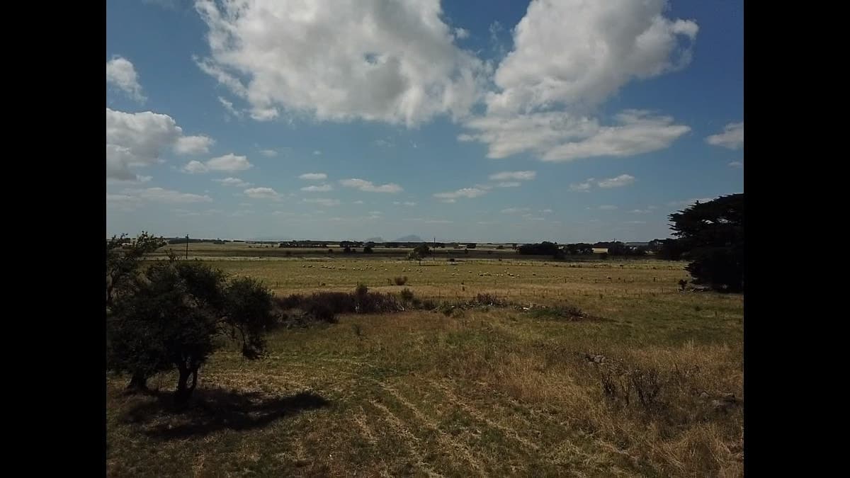 32 Ti-tree Lane, Penshurst, VIC, Penshurst - Thumbnail 4
