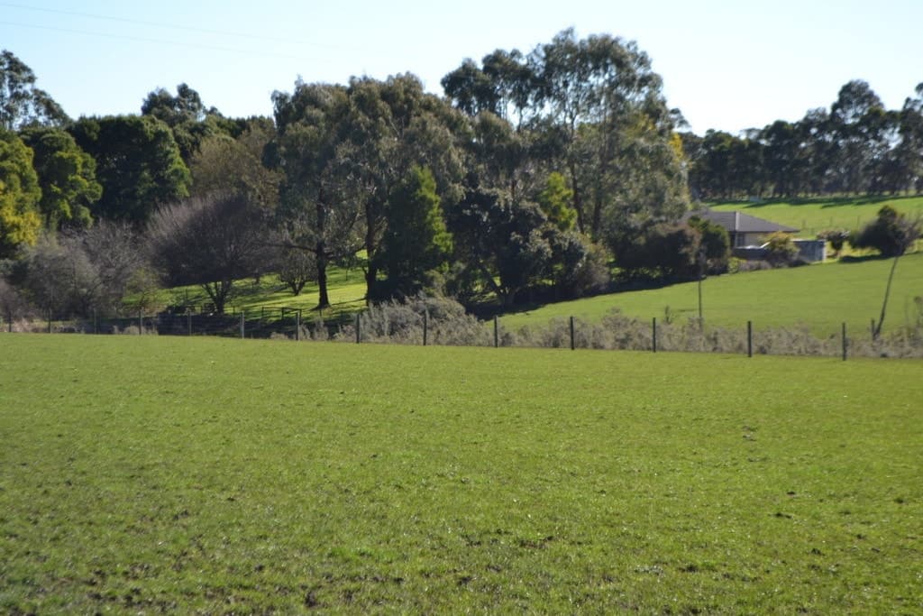 433 Digneys Bridge Road, Timboon, VIC, Timboon - Thumbnail 3