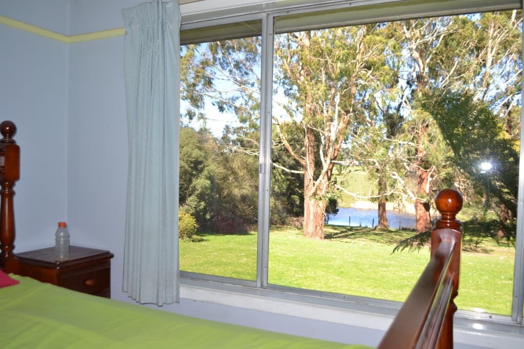433 Digneys Bridge Road, Timboon, VIC, Timboon - Thumbnail 6
