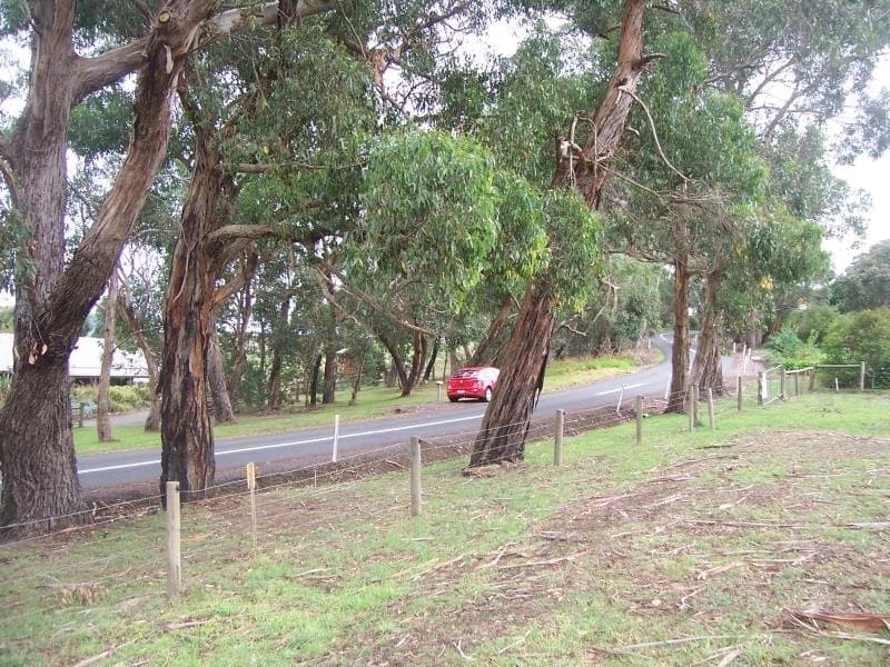133 Curdievale Road, Timboon, VIC, Timboon - Thumbnail 2