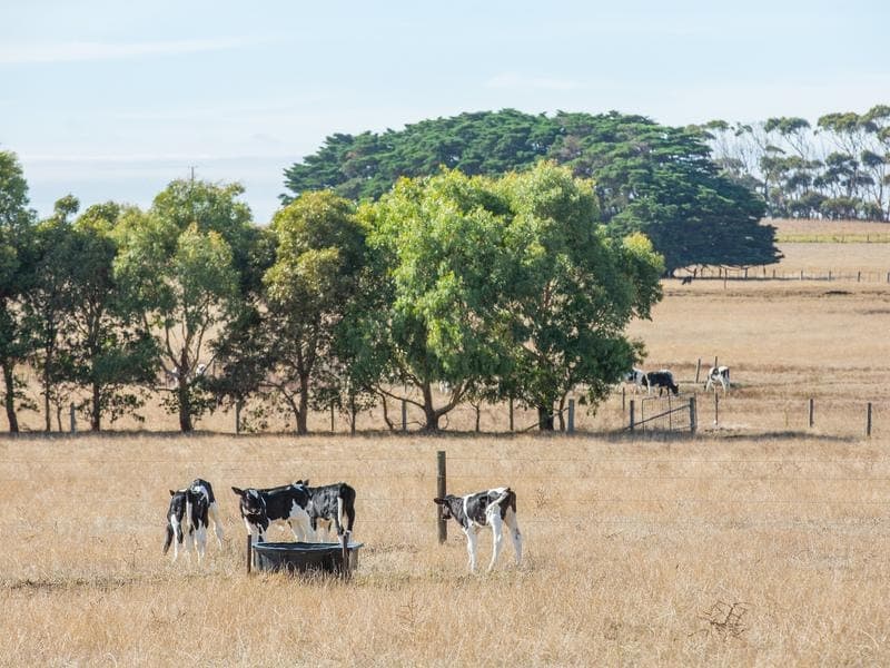 440 Wangoom Road, Warrnambool, VIC, Warrnambool - Thumbnail 4