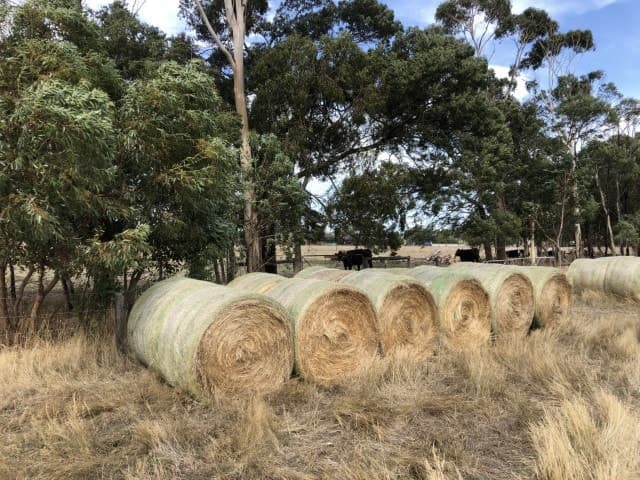 47 Mills Road, Cobden, VIC, Cobden - Thumbnail 2