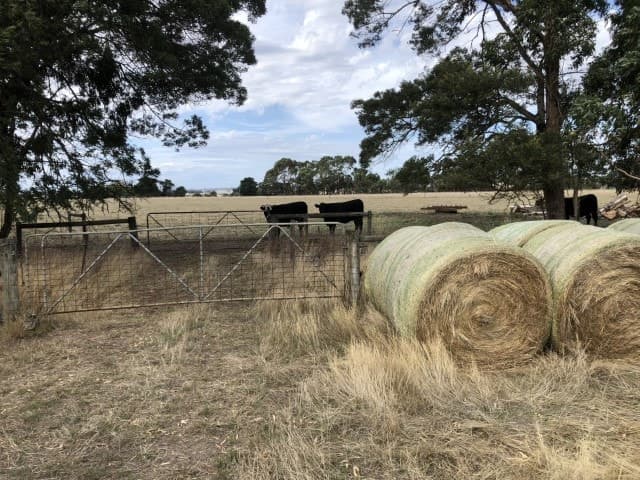 47 Mills Road, Cobden, VIC, Cobden - Thumbnail 3