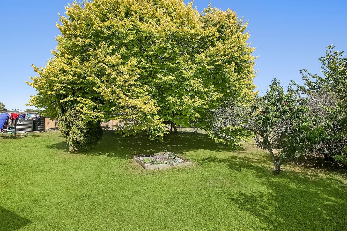1415 Princes Highway, Pirron Yallock, VIC, Pirron Yallock - Thumbnail 6