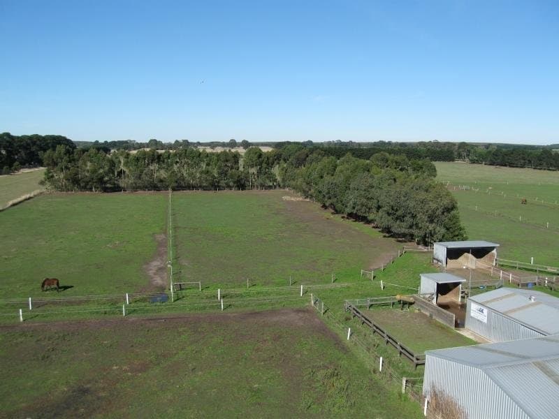 424 Cross Forest Road, Camperdown, VIC, Camperdown - Thumbnail 4