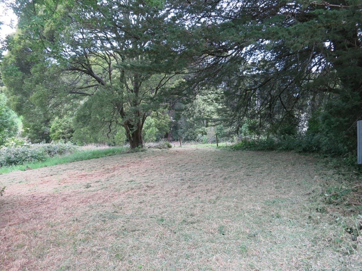 41 Great Ocean Road, Lavers Hill, VIC, Lavers Hill - Thumbnail 3