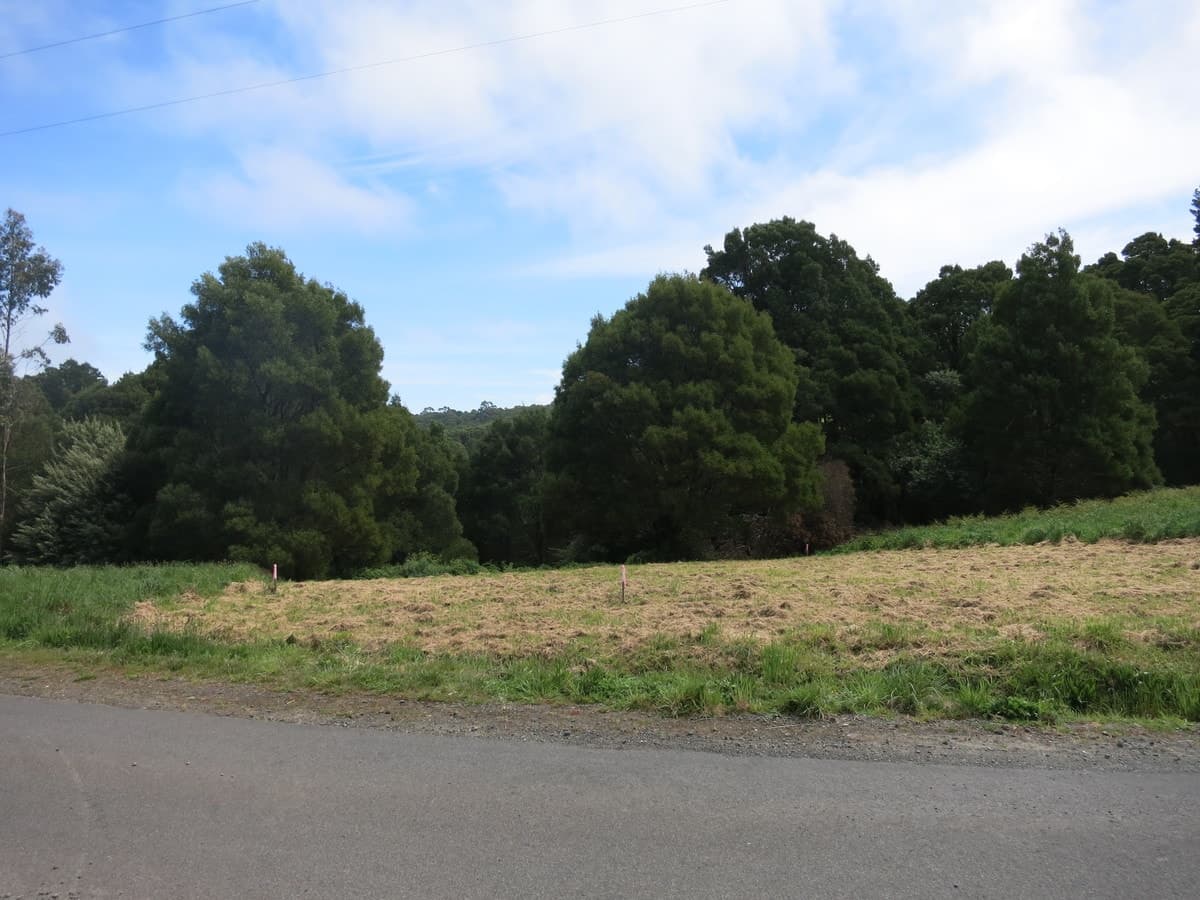 20 Dehnerts Track, Beech Forest, VIC, Beech Forest - Thumbnail 5