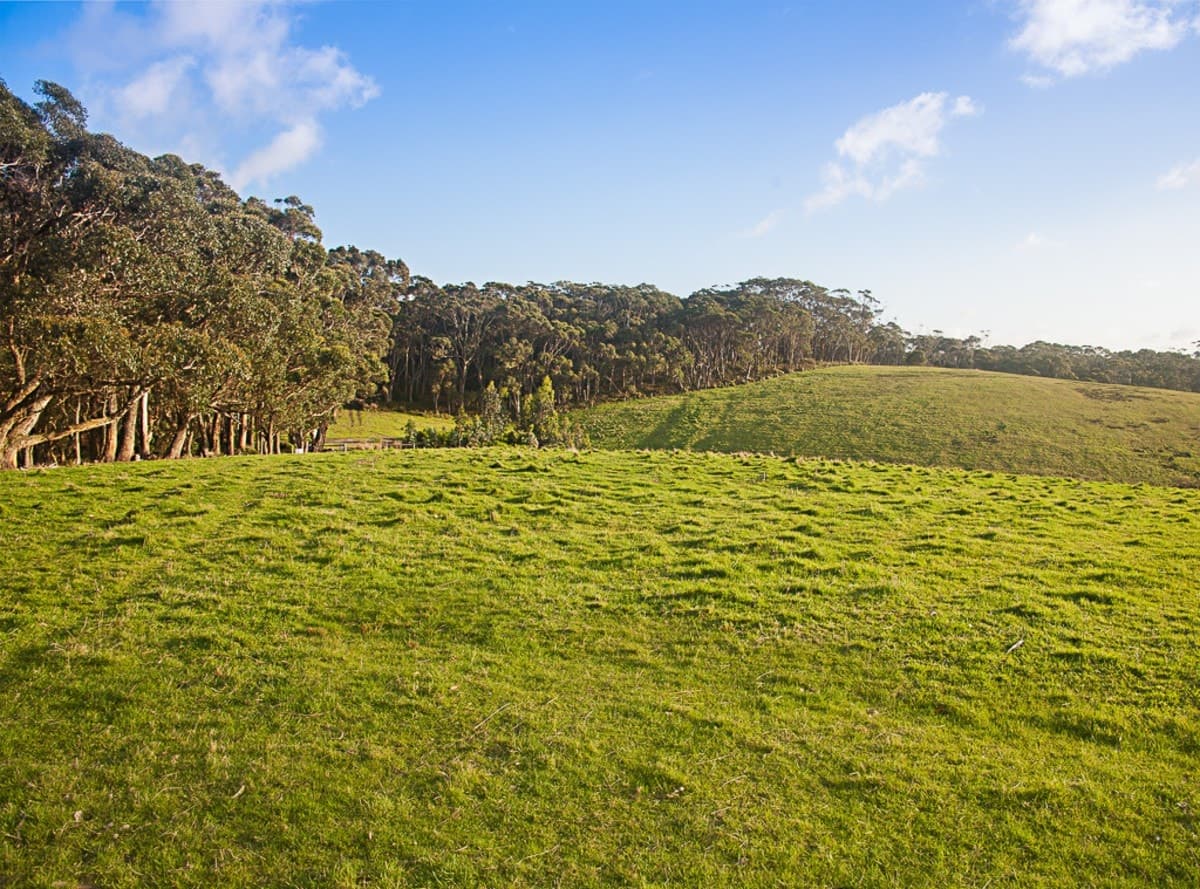 3365 Great Ocean Road, Glenaire, VIC, Glenaire - Thumbnail 4