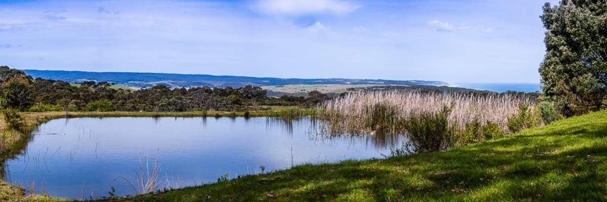 3365 Great Ocean Road, Glenaire, VIC, Glenaire - Thumbnail 8