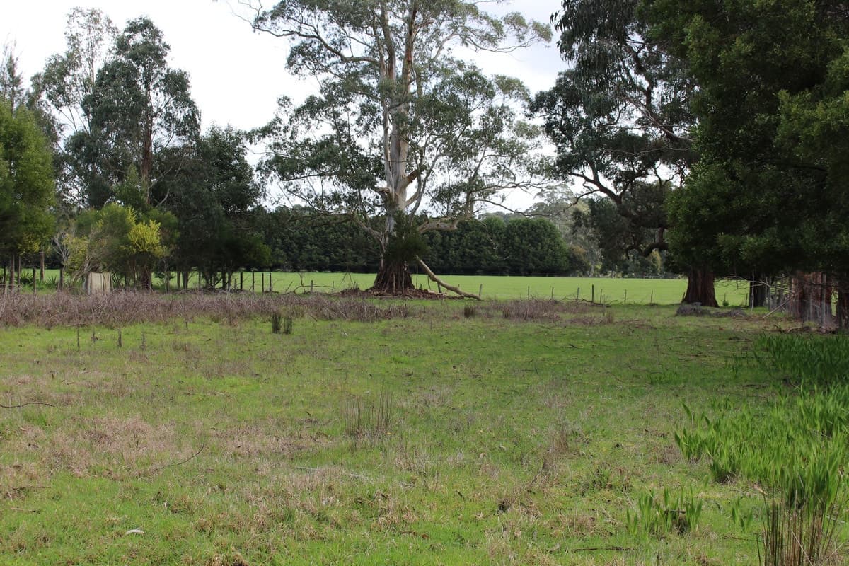 16a Main Road, Gellibrand, VIC, Gellibrand - Image 1