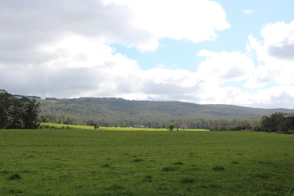 16a Main Road, Gellibrand, VIC, Gellibrand - Thumbnail 3