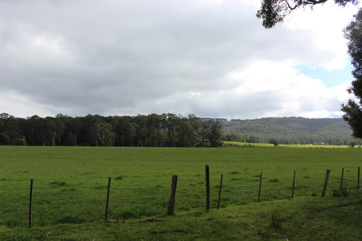 16a Main Road, Gellibrand, VIC, Gellibrand - Thumbnail 4