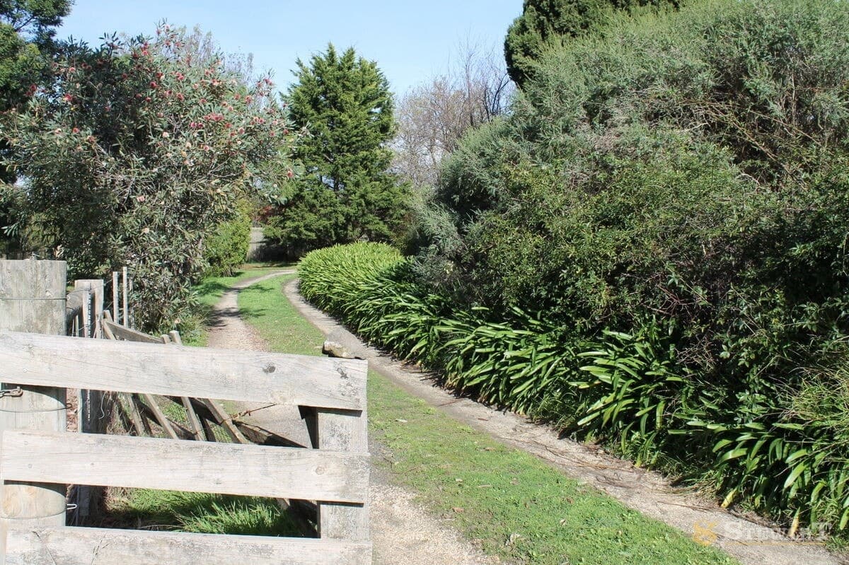37 Bowden Street, Birregurra, VIC, Birregurra - Thumbnail 2