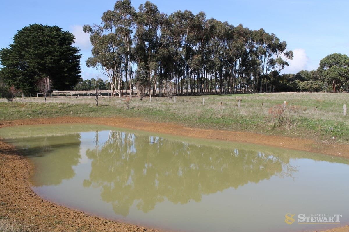 37 Bowden Street, Birregurra, VIC, Birregurra - Thumbnail 7