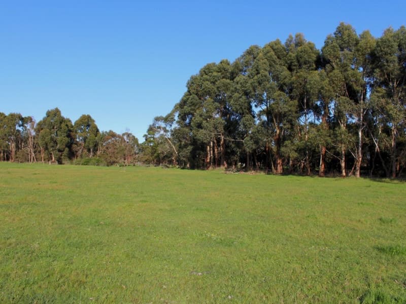 42 & 43 Aireys Street, Elliminyt, VIC, Elliminyt - Thumbnail 4