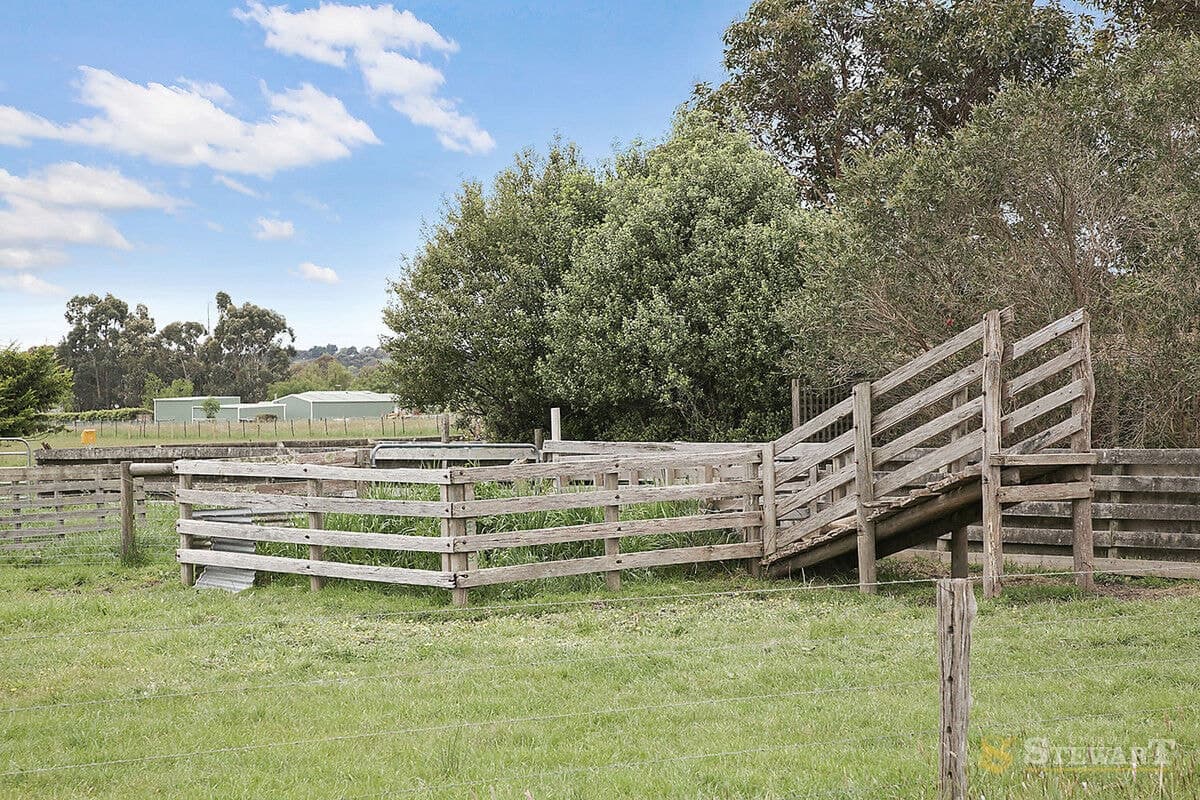 19 Slater Street, Elliminyt, VIC, Elliminyt - Thumbnail 7