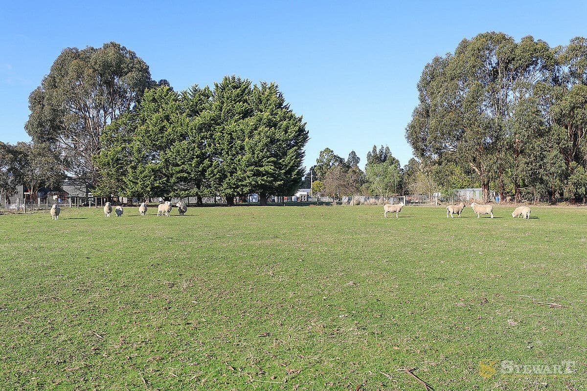 230 Cants Road, Elliminyt, VIC, Elliminyt - Thumbnail 5