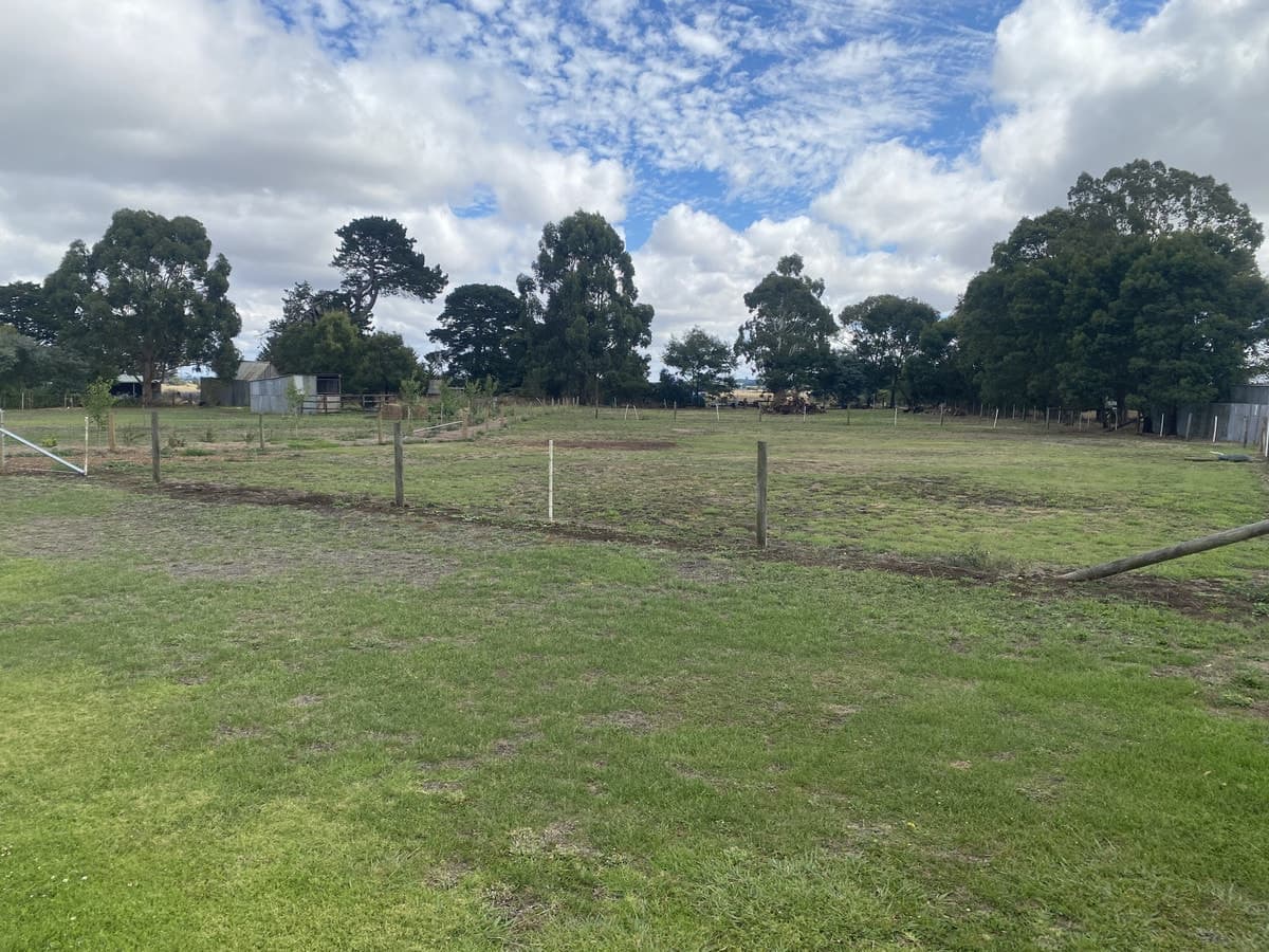 54 Chesswas Street, Penshurst, VIC, Penshurst - Thumbnail 3