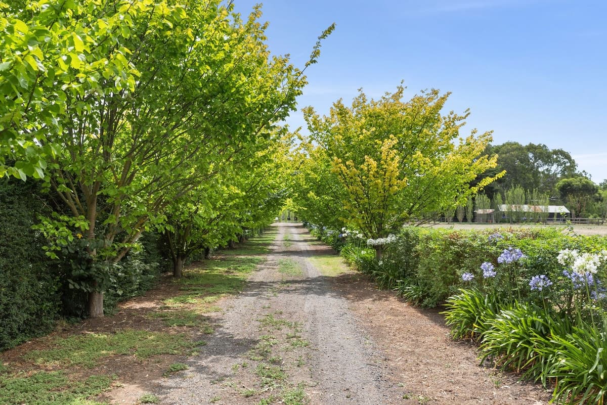 60 Cross Street, Batesford, VIC, Batesford - Thumbnail 8