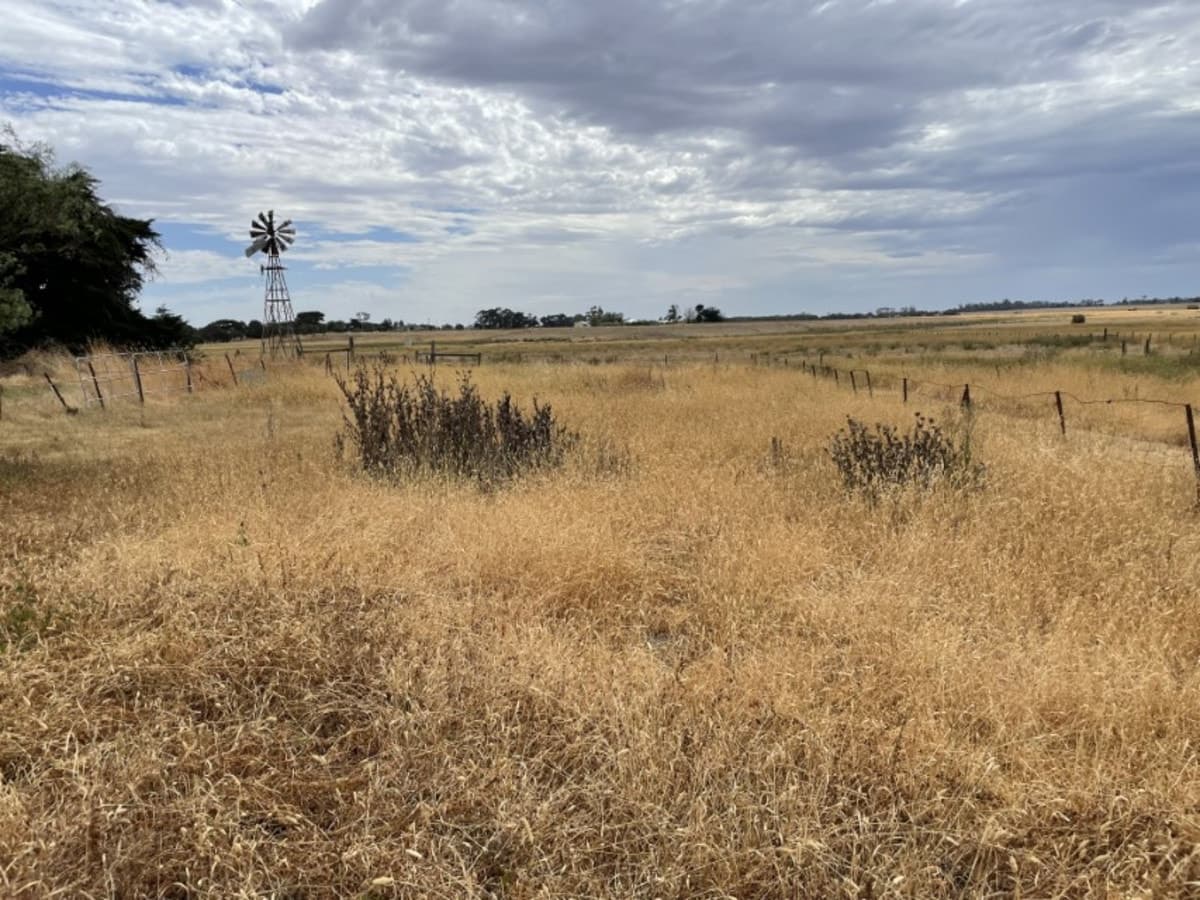 18 Wilson Street, Derrinallum, VIC, Derrinallum - Thumbnail 6