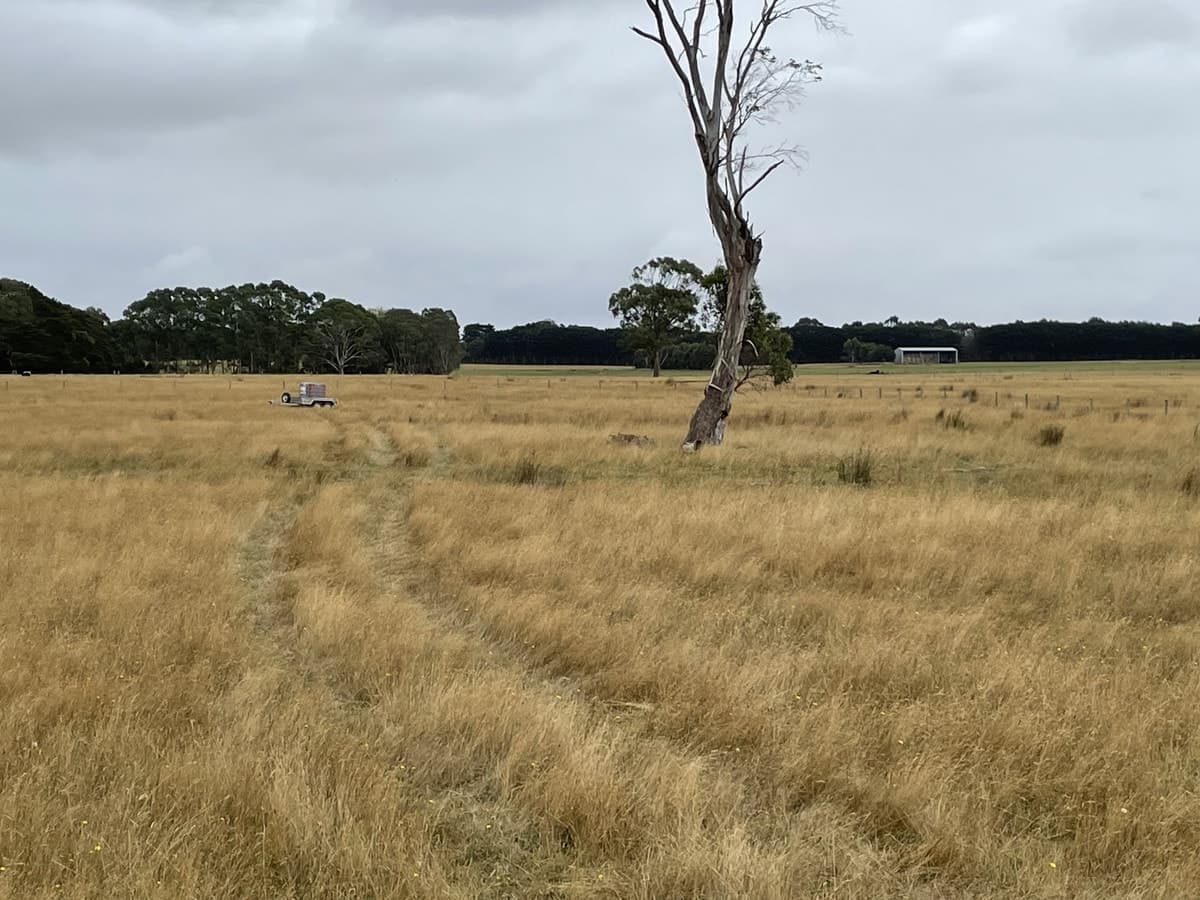 Cobden-Scotts Creek Road, Cobden, VIC, Cobden - Thumbnail 2