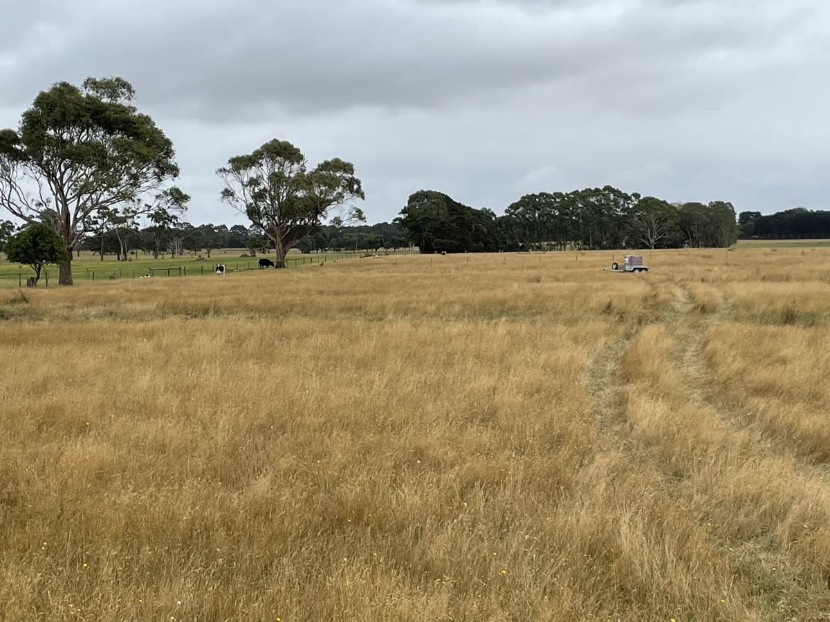 Cobden-Scotts Creek Road, Cobden, VIC, Cobden - Thumbnail 3