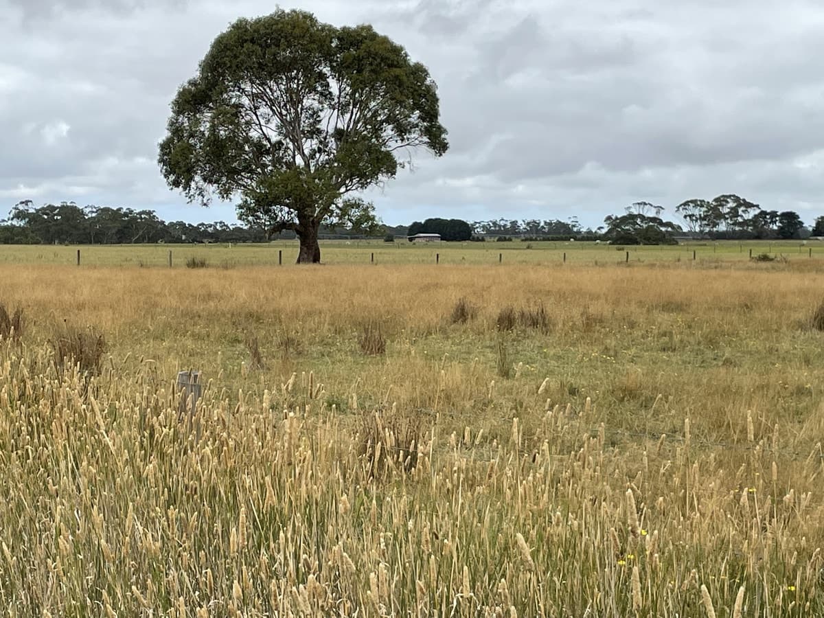 Cobden-Scotts Creek Road, Cobden, VIC, Cobden - Thumbnail 4